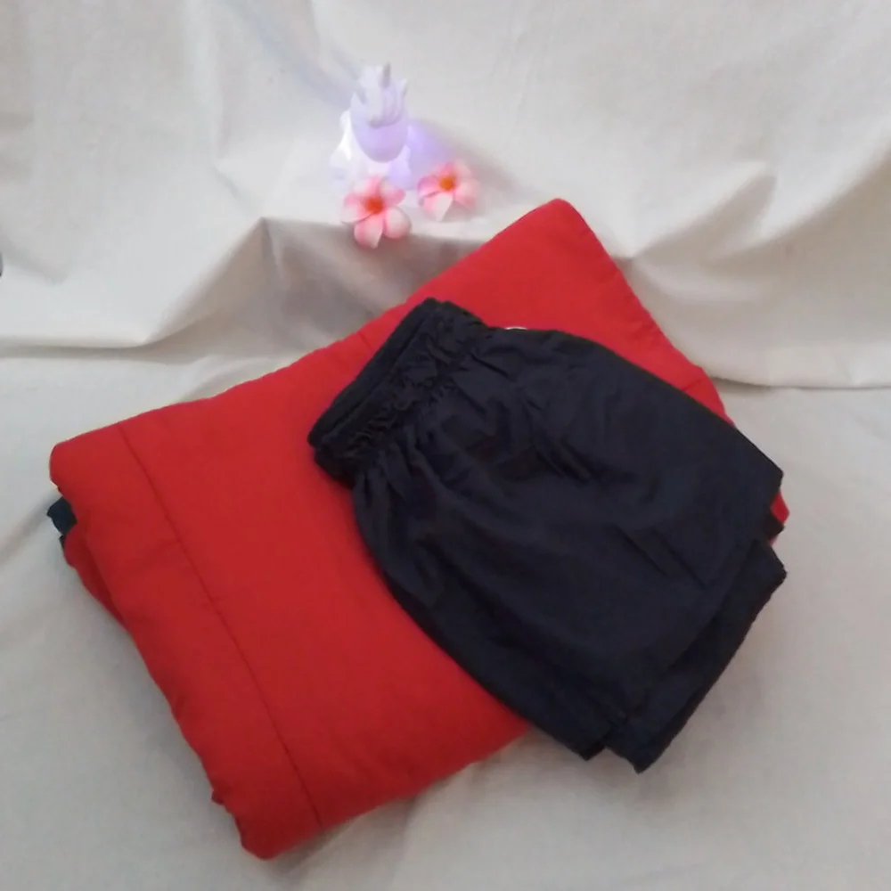 Reversible Red/Blue Twin Comfortor and Blue Bedskirt